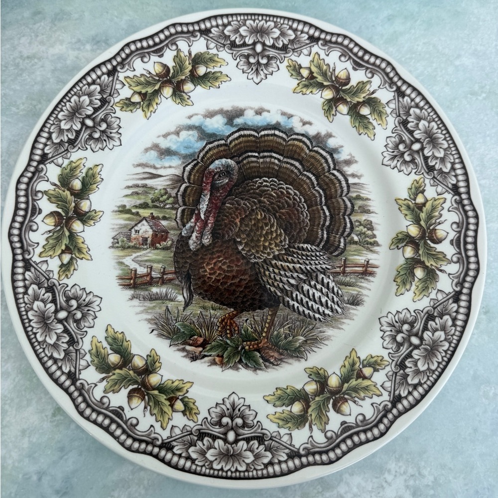 Royal Stafford Homeland Turkey dinner Plates ~ Set of 12 BRAND NEW!